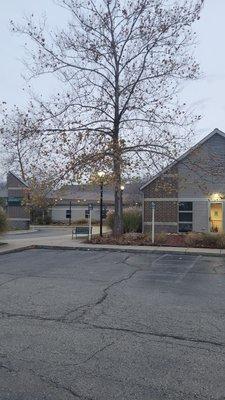 Bronson Laboratory - Battle Creek Brookside
