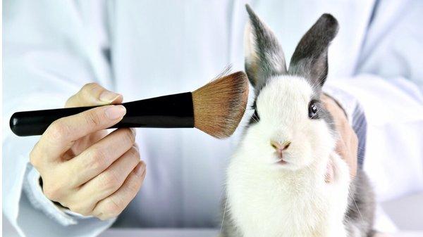 We are cruelty free