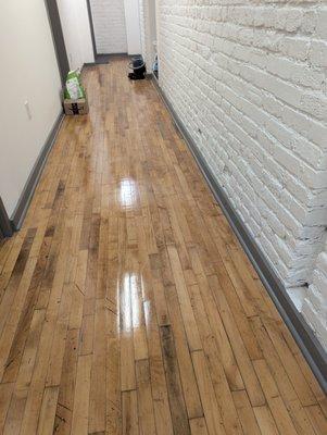 Ms Tree's Cleaning Service and More