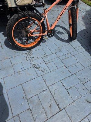 Not happy at all, when I brought the bike to be serviced I was fine