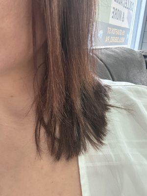 Honey Comb Styling Salon