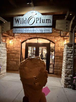 WildPlum Grocer