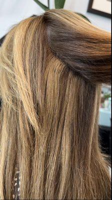Seamless color blend on 1 row of Volume Weft hair extensions
(Pic 1) https://www.hairinkstudio.com/
