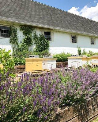 Maryland Agricultural Resource Council