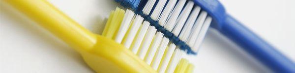 William J Bohen, DDS