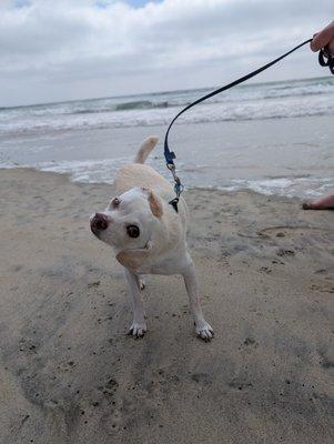 Ranch House Veterinary Services