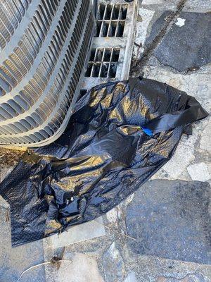 Trash left behind by Matt animal rangers