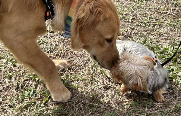 Parkland Farmers Market