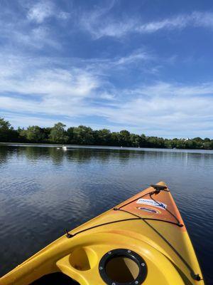Paddle Boston - Condon Shell