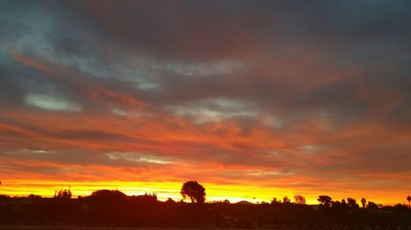 My backyard view...beautiful!