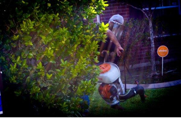 Texas Trapper and Pest Control