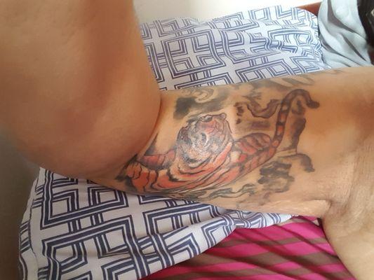 Evolutions Tattoo Shop