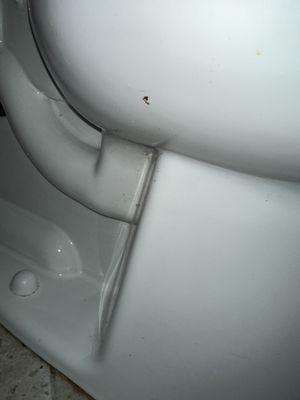 Pelouze Dave Plumbing