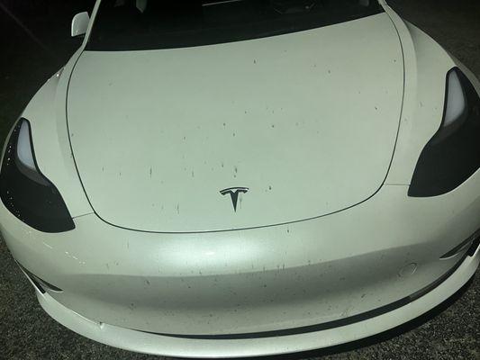 Black dust that wipes off w my finger didn't even come off. The very front on the bumper is bugs which I get. But the hood is unacceptable.