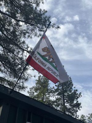 Fabulous California flag.