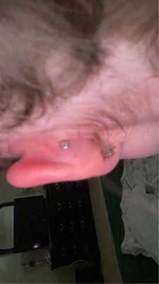 Forgotten Art Tattoo Gallery