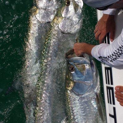 Fishing St Petersburg