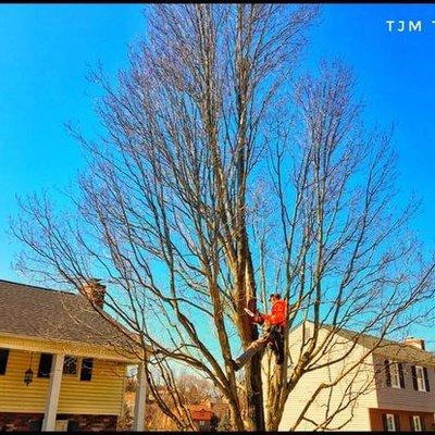 Grace Tree Service