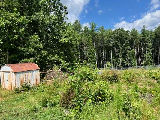 Green Mountain Land Solutions