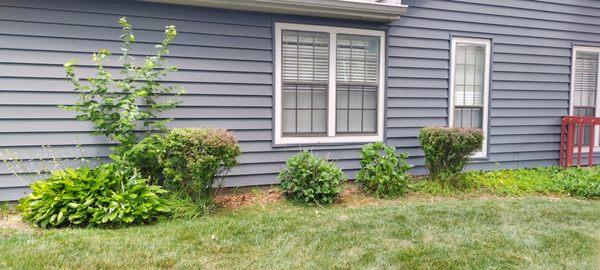 Regulators and Lawn Care and Landscape