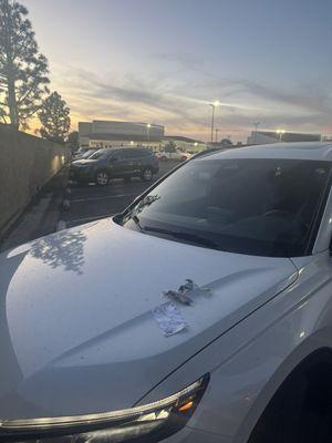 Holy Spirit Catholic Church