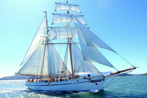 Boat Tours available on Brigantine Matthew Turner, on San Francisco Bay most Fridays and many weekends from April-November.