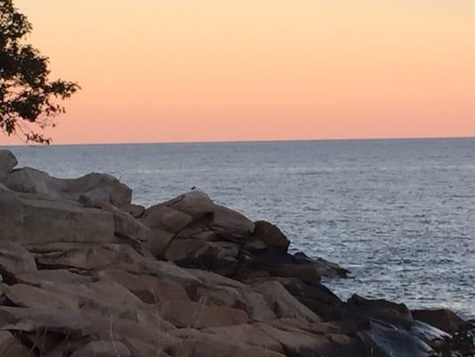 The Quarterdeck Inn By The Sea