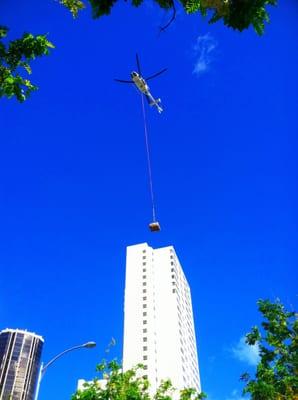 The Safety Consultants