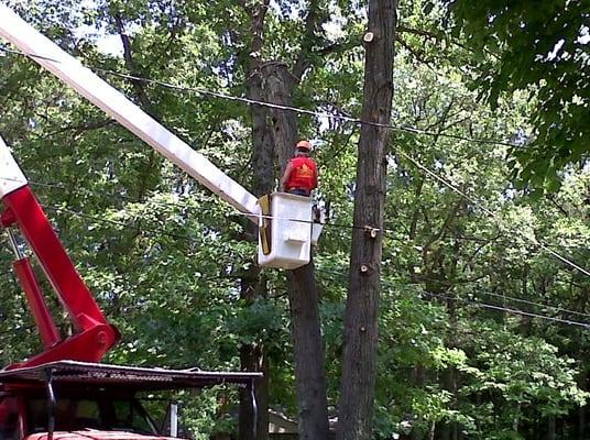 Power lines? No Problem! Our experienced team are safe and get the job done.