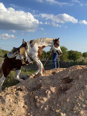 JW Horsemanship & Services