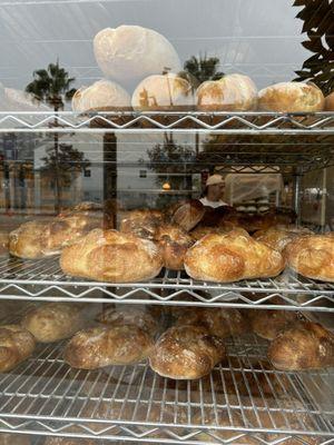 La Finestra di Bianca