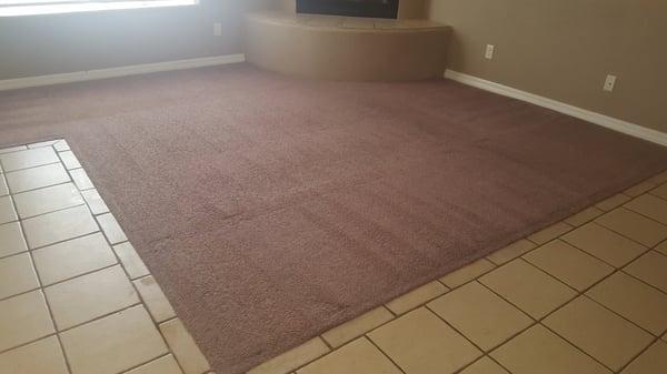 Big Bird's Carpet Cleaning