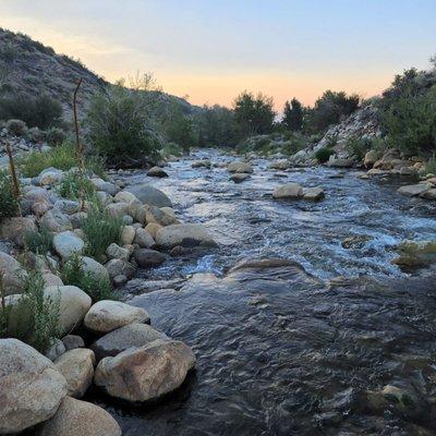 Yolie's Towing & Transport