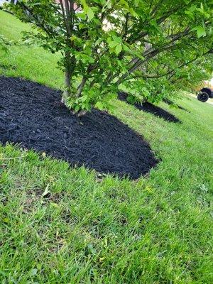 Beardslee Home Remodeling and Landscape