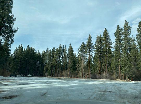 Backward Look Parking Lot