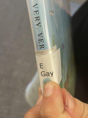 Mammoth Lakes Library