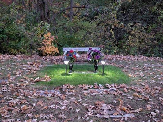 A B Hatchery & Garden Center