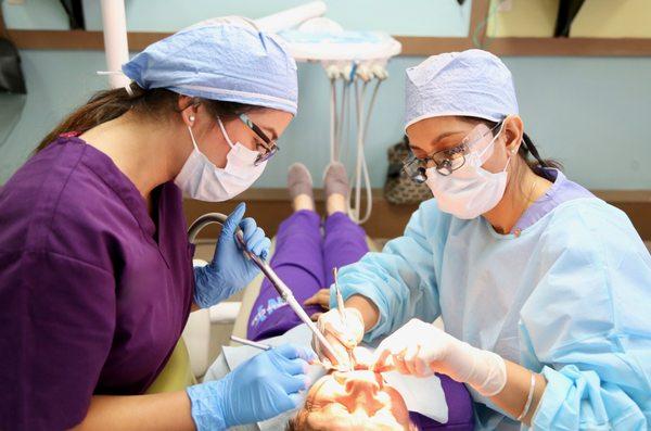 University Implant Educators