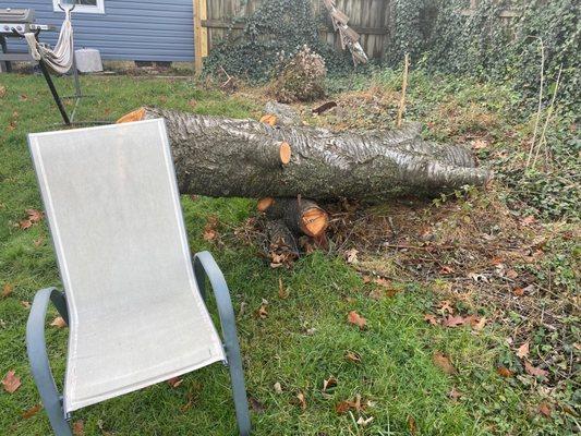 Strobert Tree Services