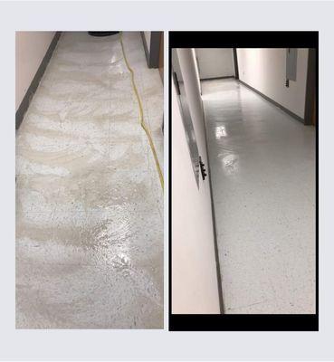 JVM Cleaning Services