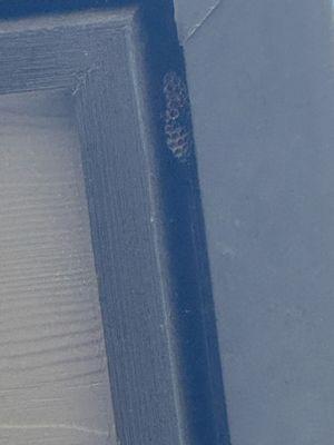 That's right outside my bathroom window eave that they supposedly swept to ensure there are no nests.