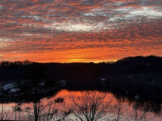 Garnier Property Management