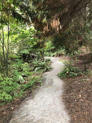 Northwest Native Plant Garden