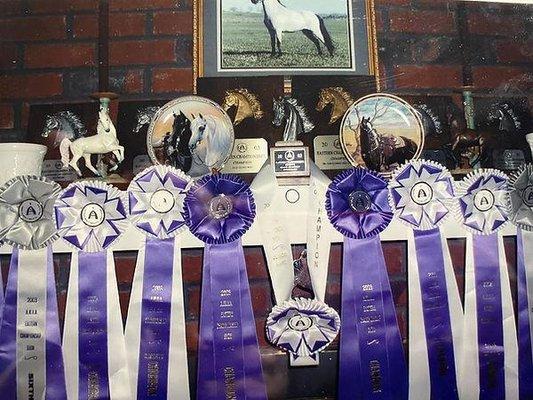 Villas Miniature Horses