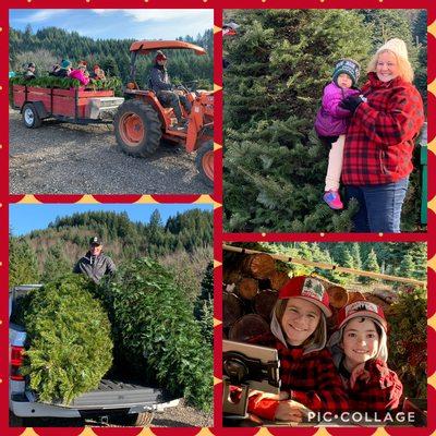 Mitchell Christmas Tree Farm