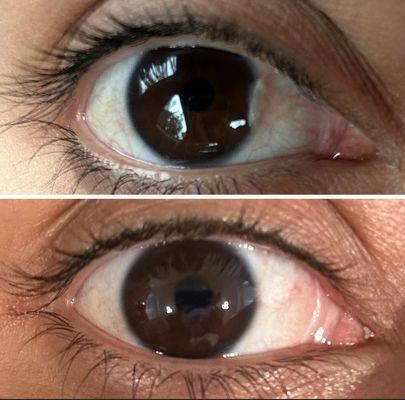 Mohammad Reza Neal, MD