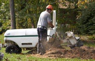 Muckleroy's Tree Service