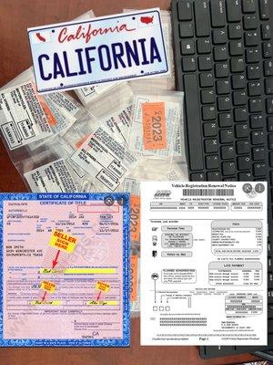 Naibyz Income Tax Service