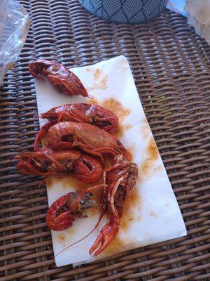 The Saucy Crawfish