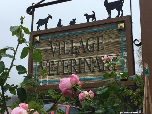 Village Veterinary